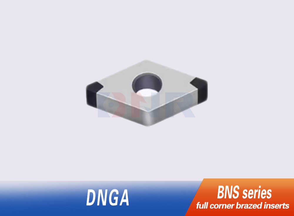 BNS series DNGA